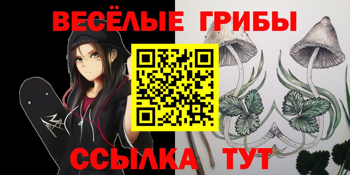 наркошоп  Наро-Фоминск  Галлюциногенные грибы MAGIC MUSHROOMS  Галлюциногенные грибы GOLDEN TEACHER 