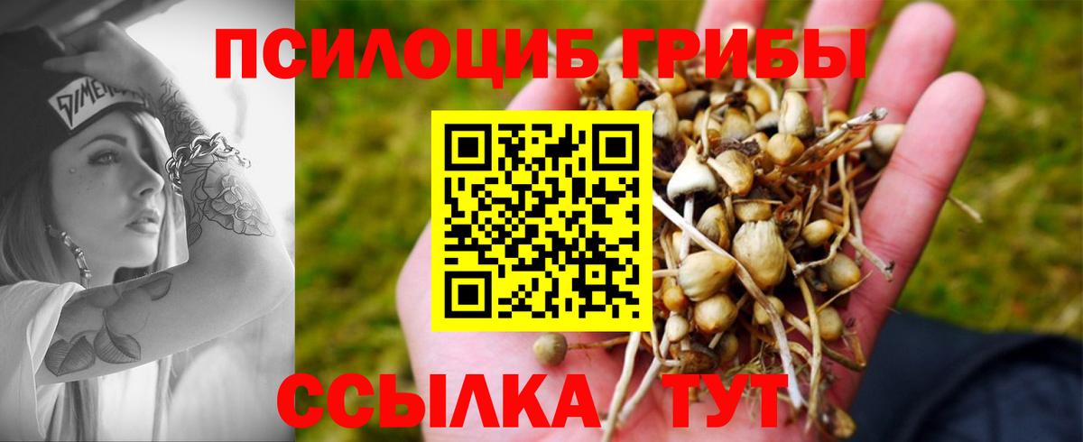 Псилоцибиновые грибы мухоморы Наро-Фоминск
